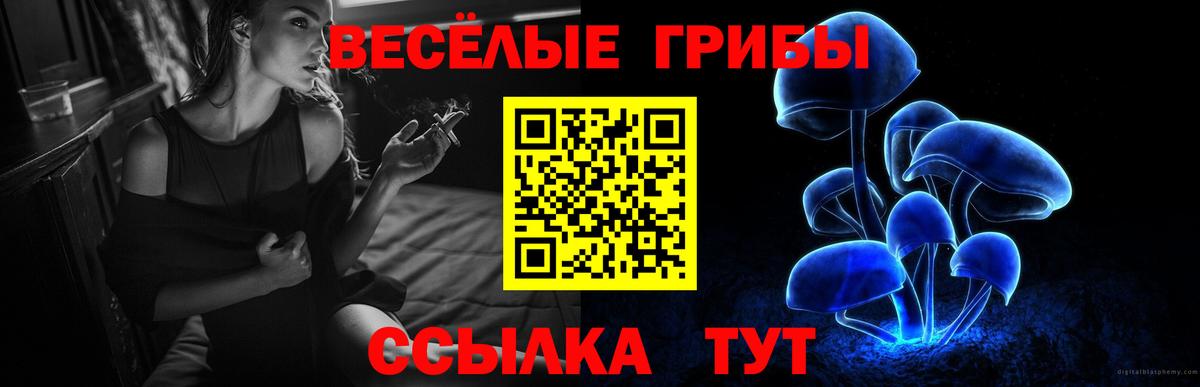 Псилоцибиновые грибы Cubensis  Галлюциногенные грибы Cubensis  Вход с VPN  Лесосибирск 